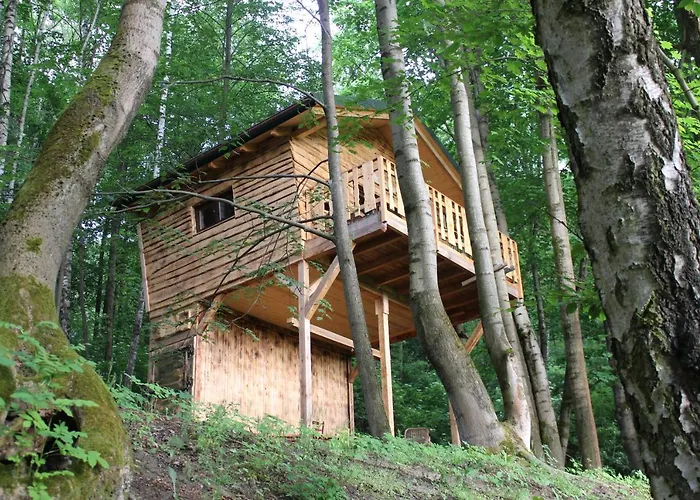 Treehouse Velke Losiny