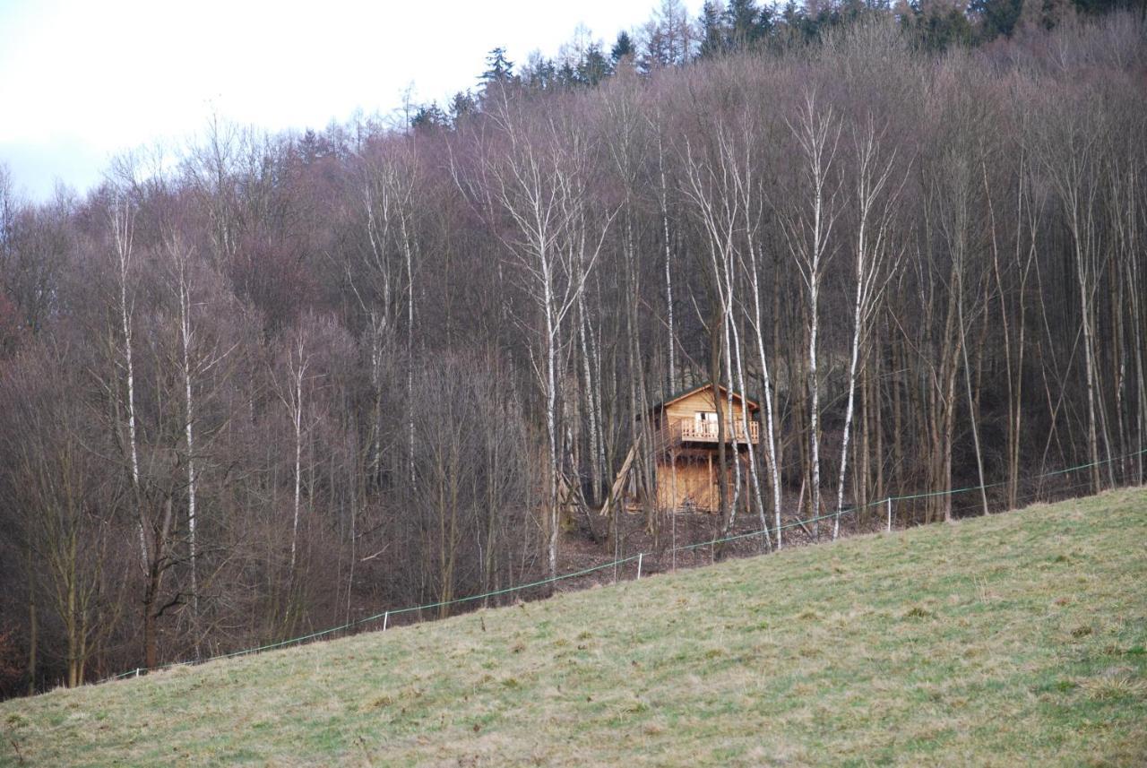 Treehouse Lodge Velké Losiny